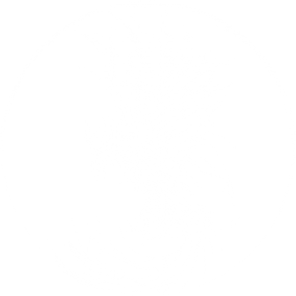 Phönix_Tshirt